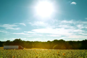 Fuel Services Fleet Truck Driving Through Sunflower Field | McPherson Oil